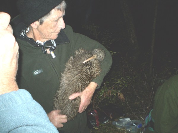 Nancy Jensen with the female kiwi.